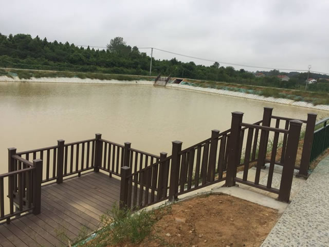 護欄53